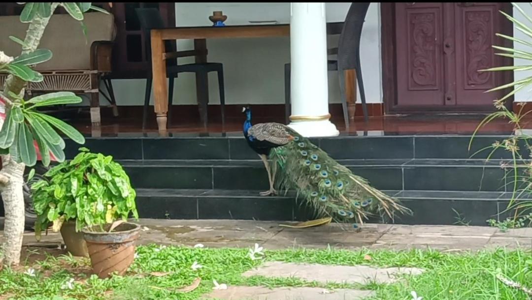 Angels' Homestay Marari Mararikulam Luaran gambar