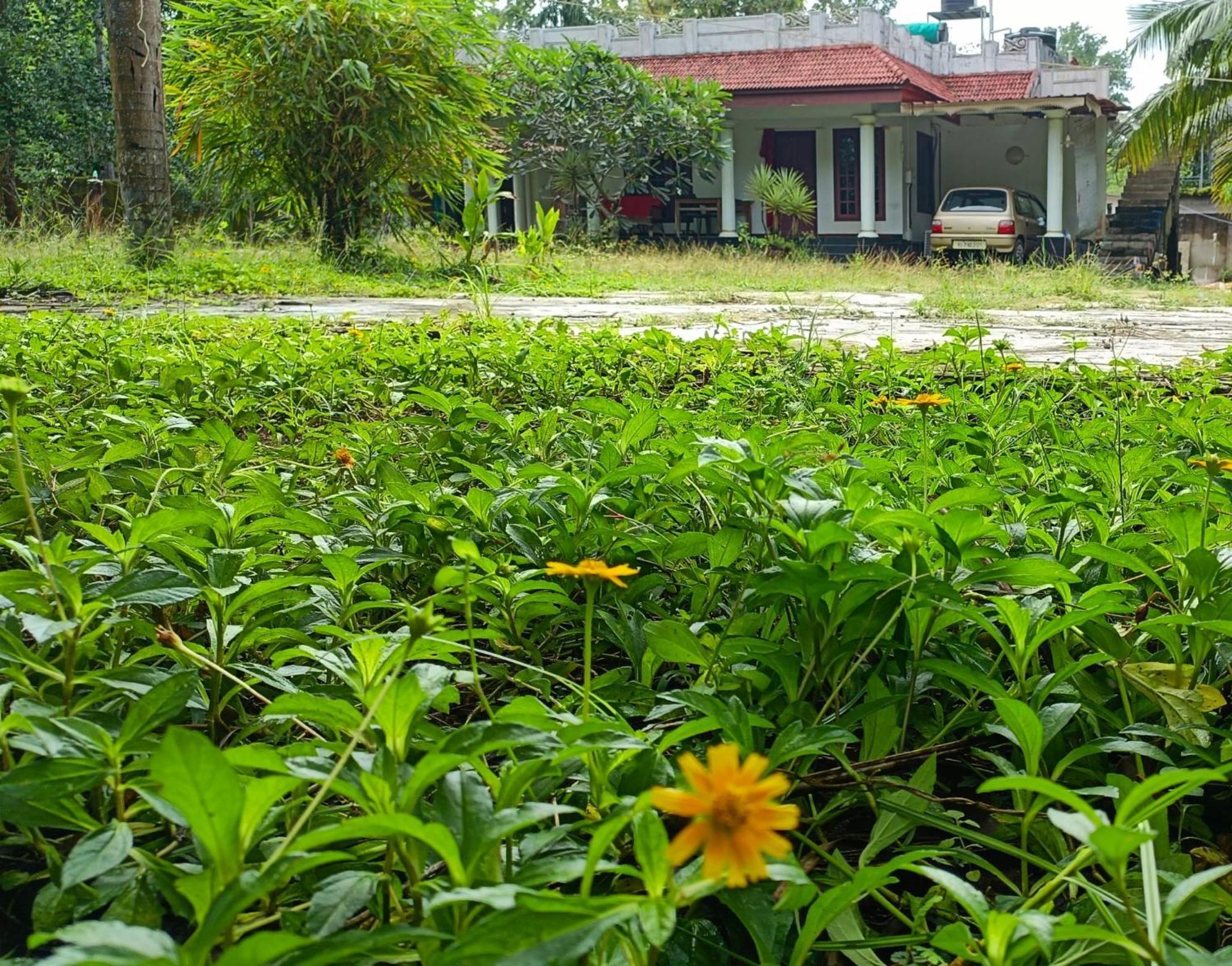 Angels' Homestay Marari Mararikulam Luaran gambar