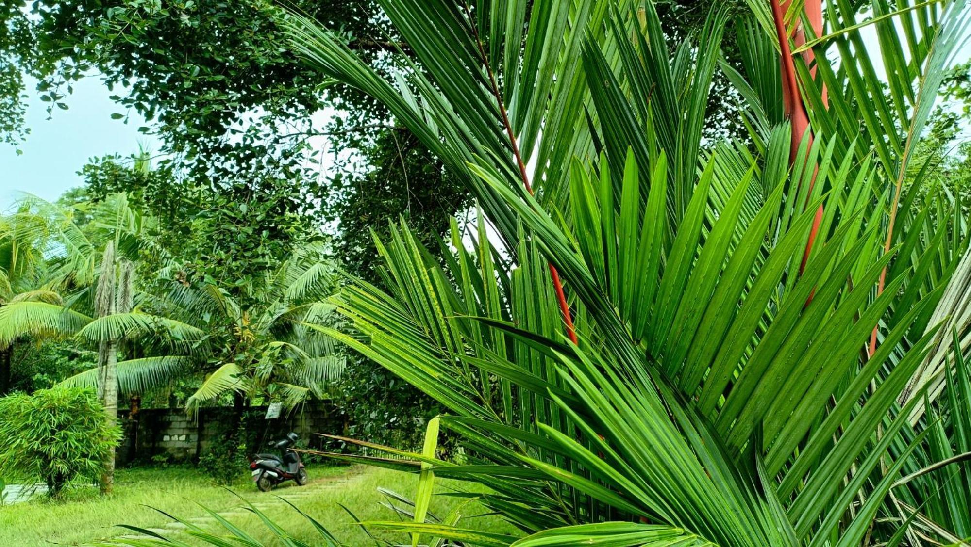 Angels' Homestay Marari Mararikulam Luaran gambar