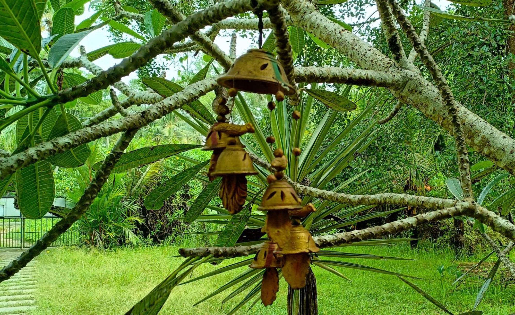 Angels' Homestay Marari Mararikulam Luaran gambar