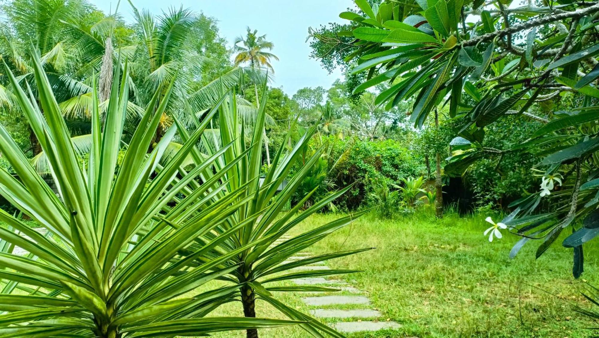 Angels' Homestay Marari Mararikulam Luaran gambar